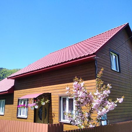 Відпочинок У Карпатах, Мінеральні Ванни, Банний Чан! Guest House Verkhnyaya Bystra ภายนอก รูปภาพ