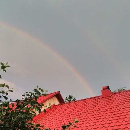Відпочинок У Карпатах, Мінеральні Ванни, Банний Чан! Guest House Verkhnyaya Bystra ภายนอก รูปภาพ