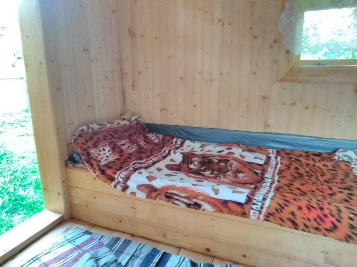 Відпочинок У Карпатах, Мінеральні Ванни, Банний Чан! Guest House Verkhnyaya Bystra ภายนอก รูปภาพ