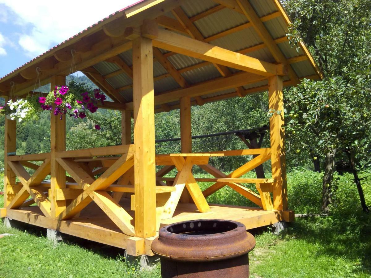 Відпочинок У Карпатах, Мінеральні Ванни, Банний Чан! Guest House Verkhnyaya Bystra ภายนอก รูปภาพ