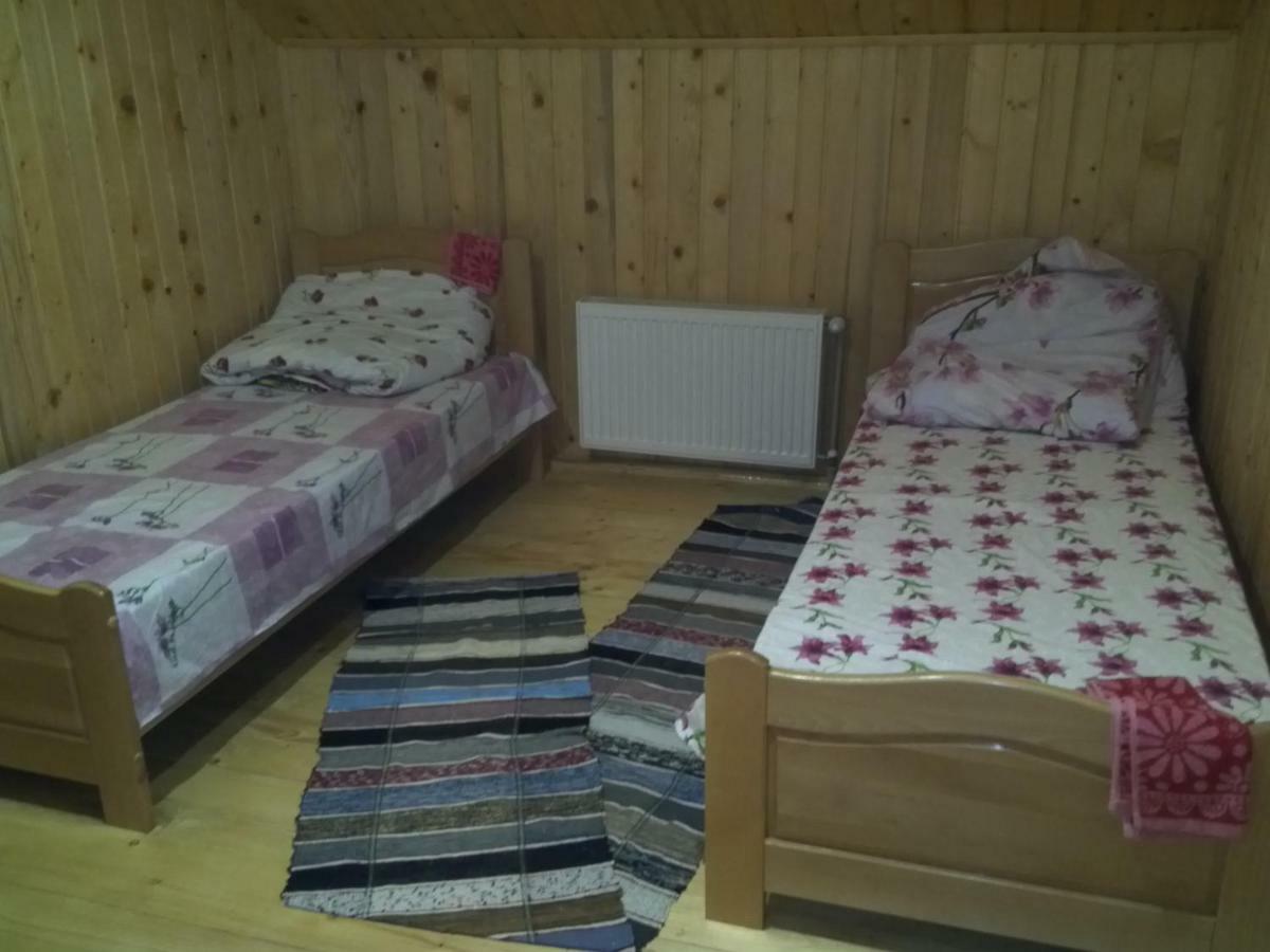 Відпочинок У Карпатах, Мінеральні Ванни, Банний Чан! Guest House Verkhnyaya Bystra ภายนอก รูปภาพ