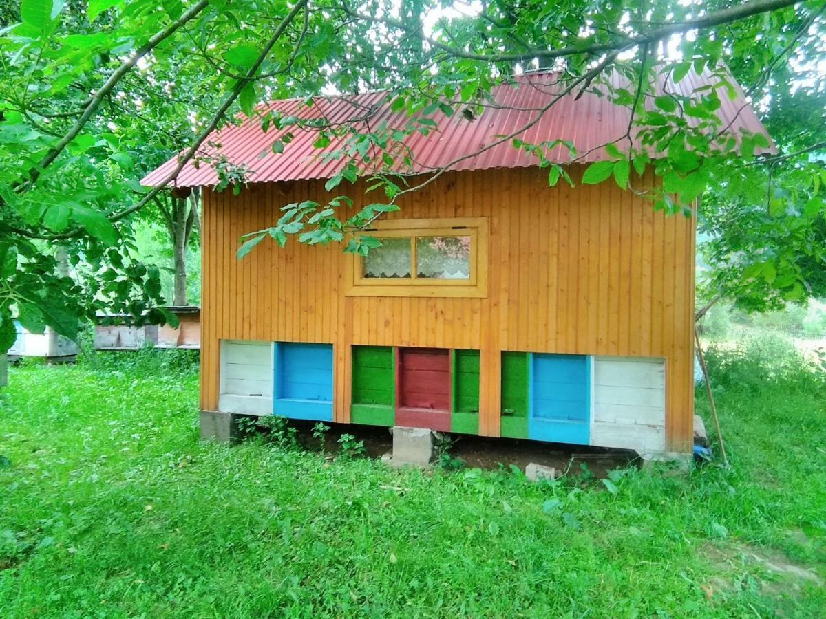 Відпочинок У Карпатах, Мінеральні Ванни, Банний Чан! Guest House Verkhnyaya Bystra ภายนอก รูปภาพ